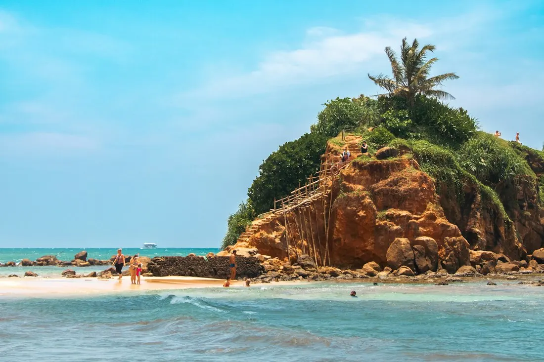 Palm trees and tropical coastline in Sri Lanka